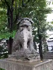 豊足神社の狛犬