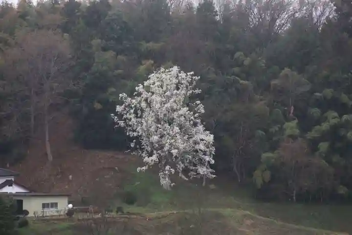 鹿島大神宮の周辺