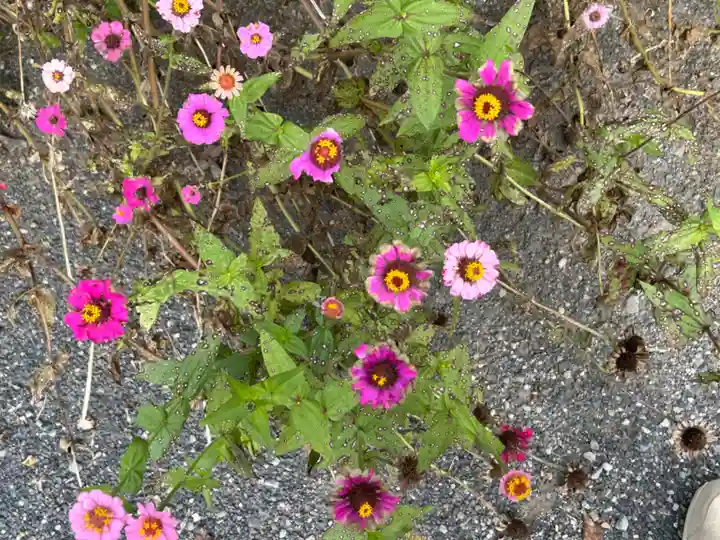 沼鉾神社(栃木県)