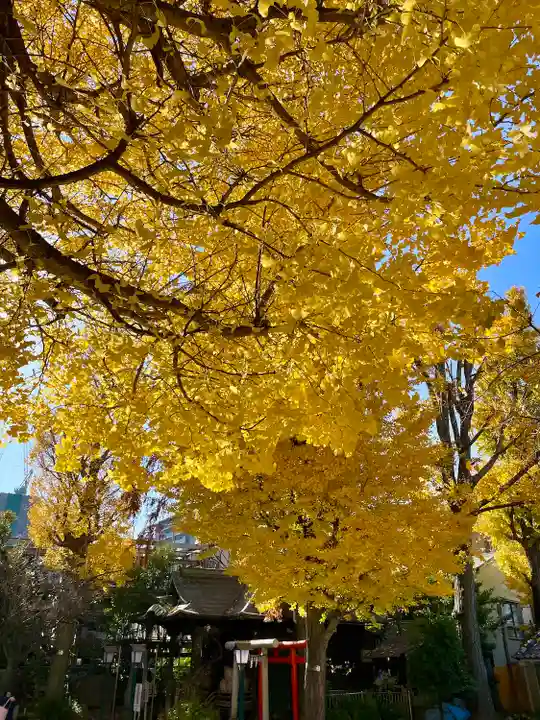 千住本氷川神社(東京都)