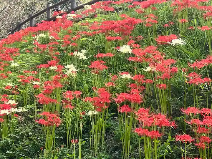高麗神社(埼玉県)
