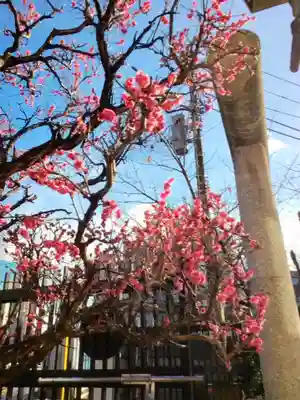 大國神社(東京都)