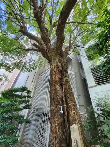 泥江縣神社(愛知県)