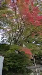 出雲大神宮(京都府)