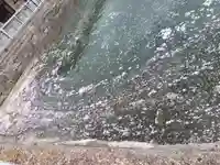 福井神社の自然