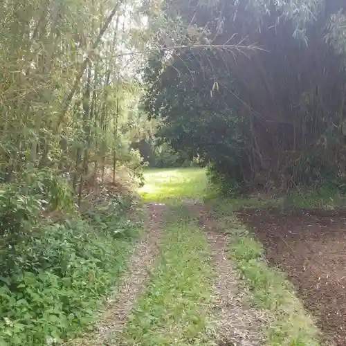 香取神社の自然