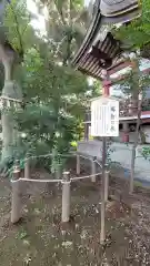 川越八幡宮の建物その他