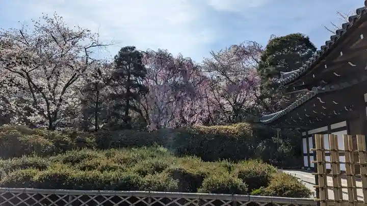 龍安寺(京都府)