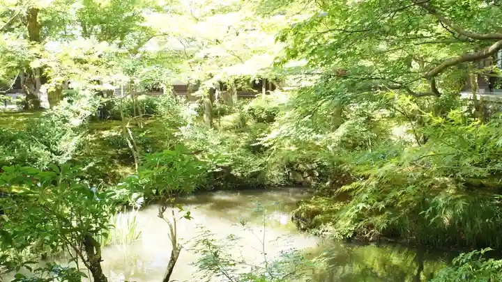 圓光寺(京都府)