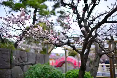 亀戸天神社(東京都)
