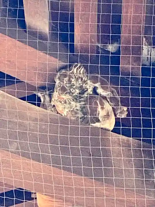 東寺(教王護国寺)(京都府)