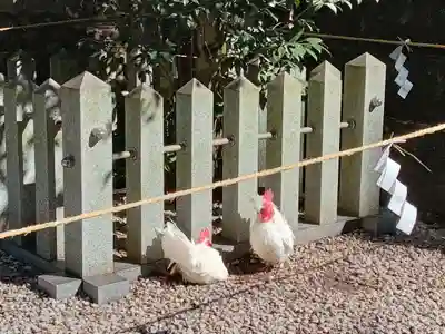 石上神宮(奈良県)