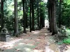 湯野神社(島根県)