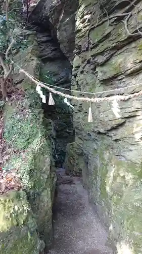 白山神社の自然