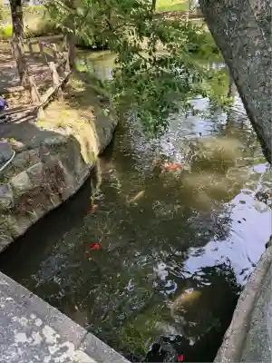 香椎宮(福岡県)