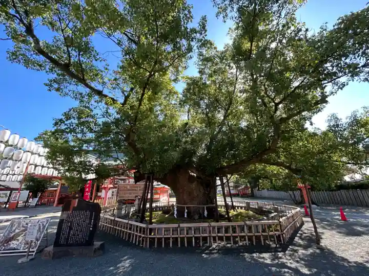風浪宮(福岡県)