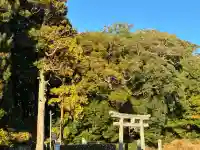 大宮神社(静岡県)