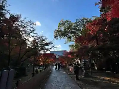 光明寺（粟生光明寺）(京都府)