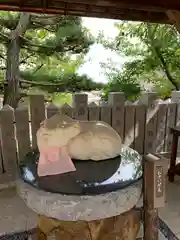 北野天満神社の狛犬