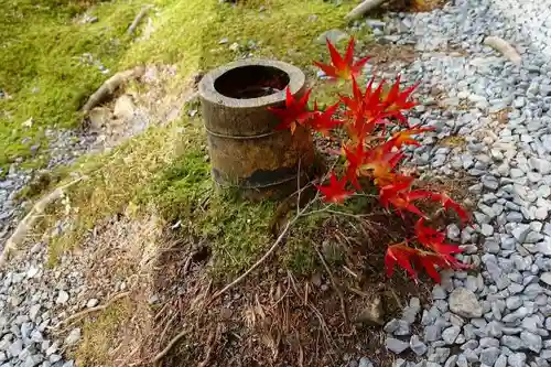 圓光寺の自然