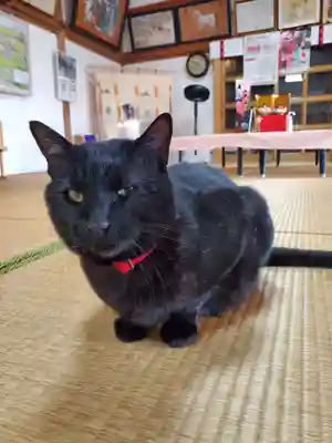 高司神社〜むすびの神の鎮まる社〜(福島県)