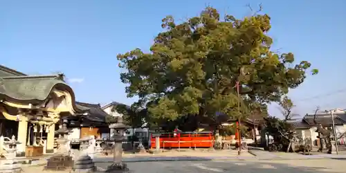 龍田神社(奈良県)