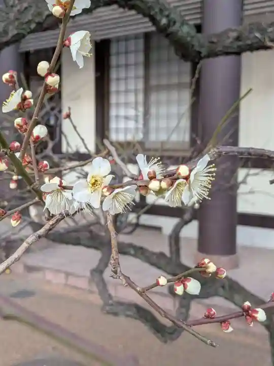 熊野神社(東京都)