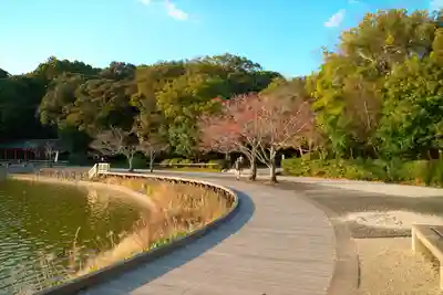 橿原神宮(奈良県)