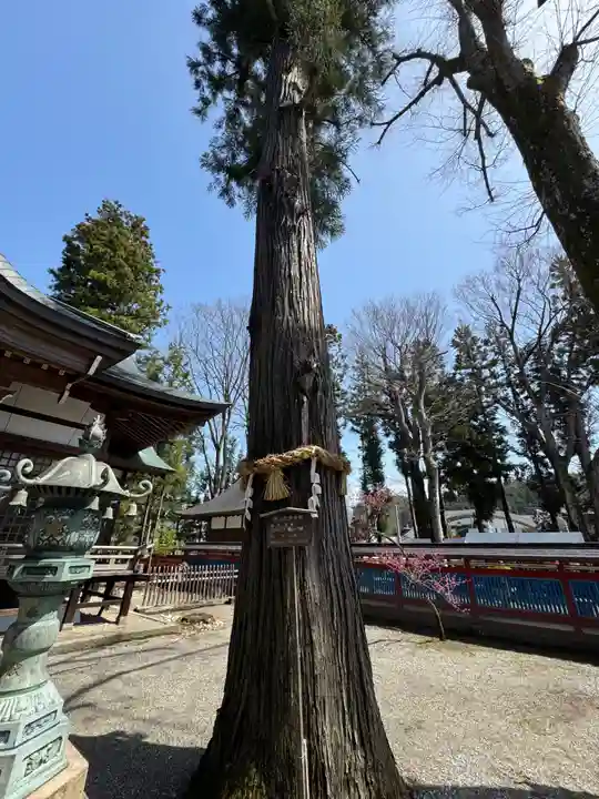 飛驒天満宮(岐阜県)