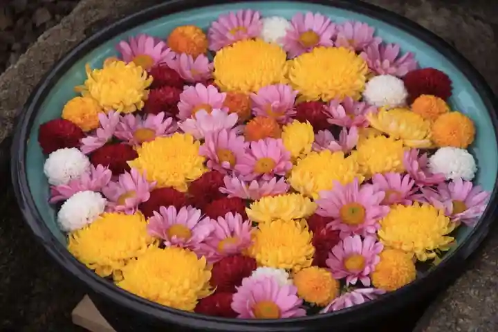 大鏑神社の手水舎