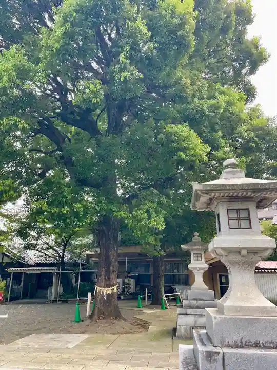 荻窪白山神社(東京都)