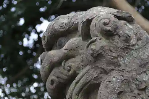 熊野福藏神社の狛犬