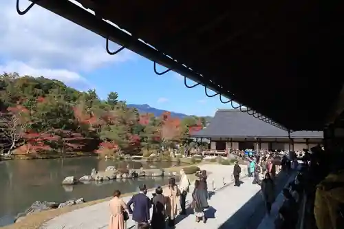 天龍寺の庭園