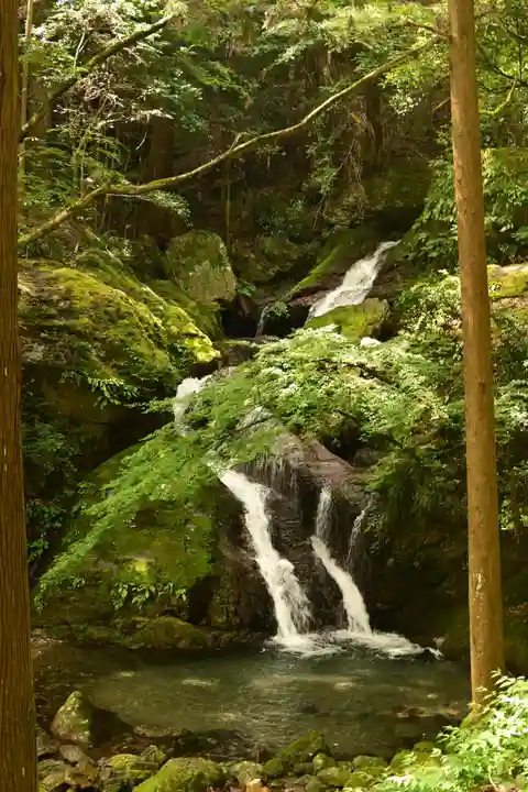 悲願寺(徳島県)