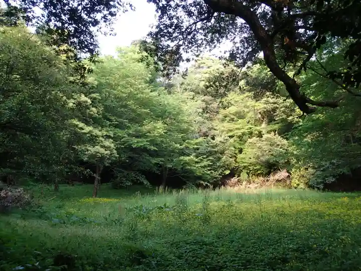 波波伎神社の自然