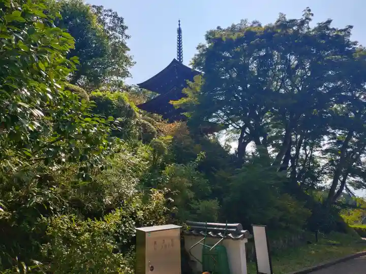 岡寺(龍蓋寺)(奈良県)