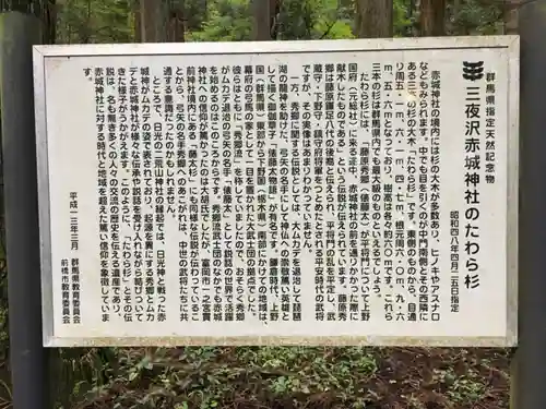 赤城神社(三夜沢町)のその他建物