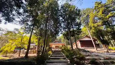 八幡神社(滋賀県)