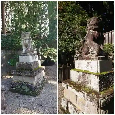 気多若宮神社の狛犬