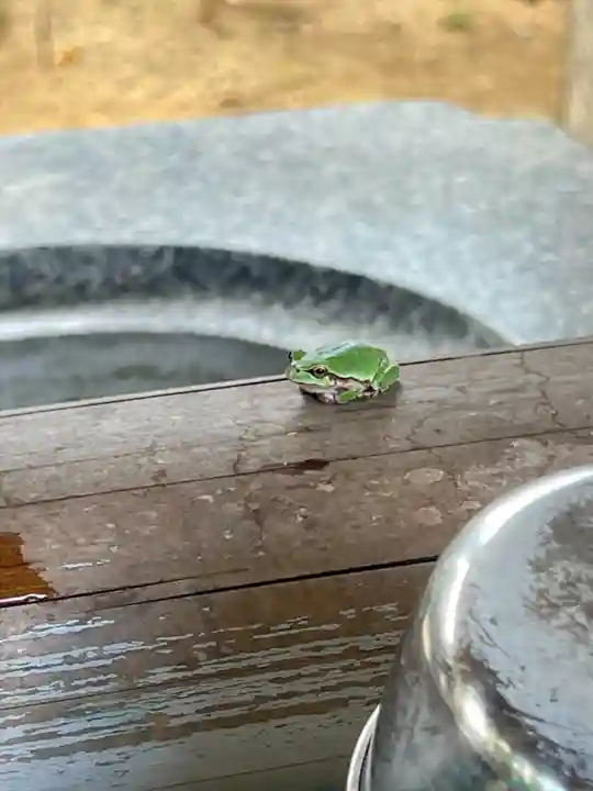 多田朝日森稲荷神社(千葉県)