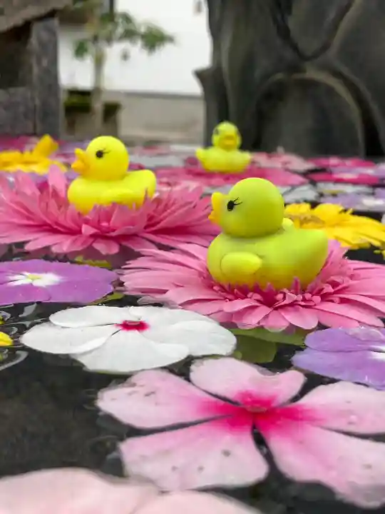 多聞寺の手水舎