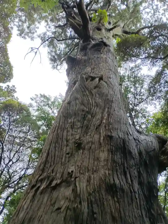 麻賀多神社(千葉県)