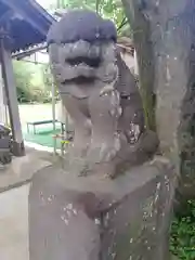 新倉氷川八幡神社の狛犬