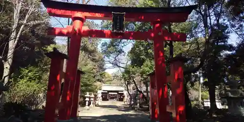 峯ヶ岡八幡神社の鳥居