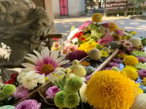 滑川神社 - 仕事と子どもの守り神の手水舎