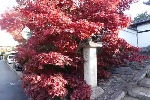 光明院（光明禅院）(京都府)