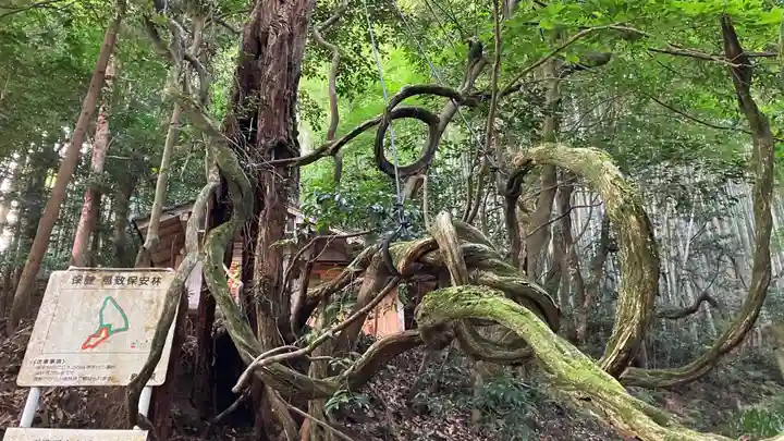 玉作湯神社の周辺