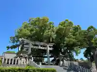 百舌鳥八幡宮(大阪府)