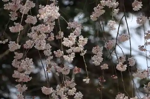 三春大神宮の庭園