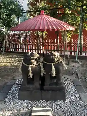 浅草神社の狛犬